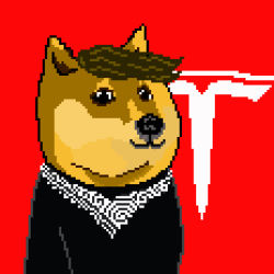 K-DOGE  #1 ELON