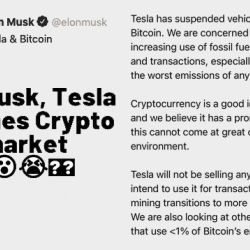 Tesla & Bitcoin