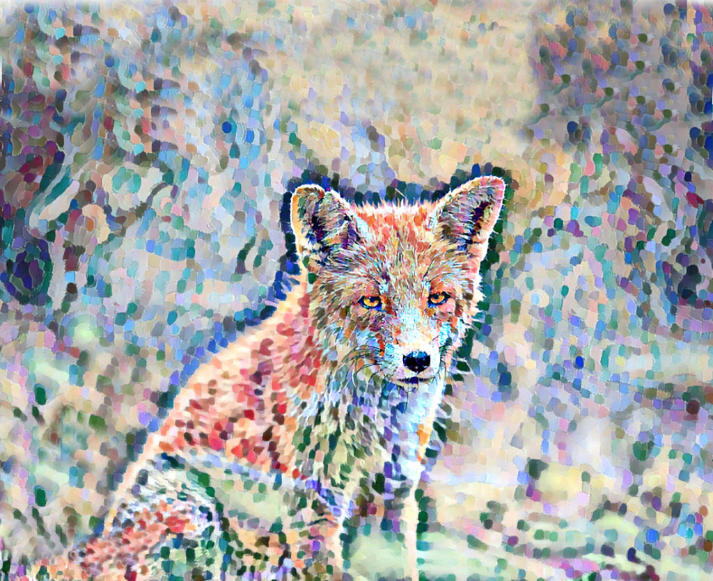 A Little fox in the woods