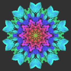 Spirit of Mandala #08