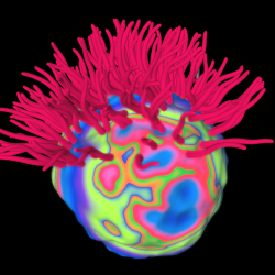 Glowing Sea Anemone #2