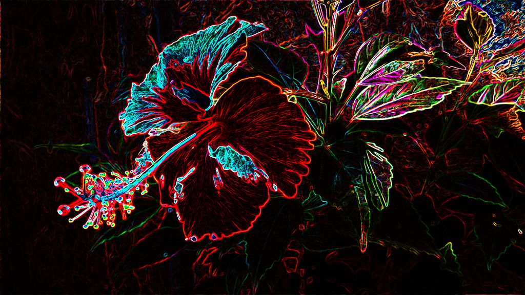 Neon Nature #2 Cayenne Flower