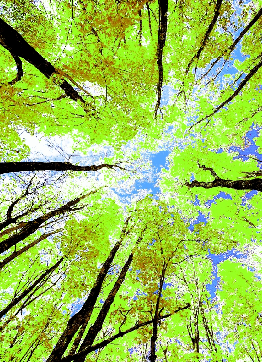 The beauty of colors #3