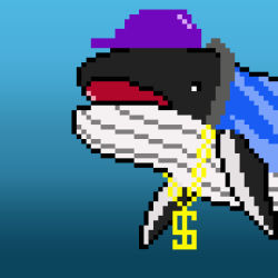 Whale Crypto #27