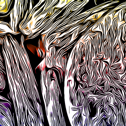 Mountain Angles #125