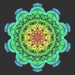 Spirit of Mandala #07