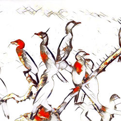 Premium 16 - No Frame Version