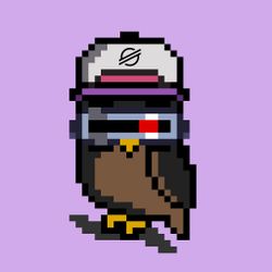 OWLpixel#062