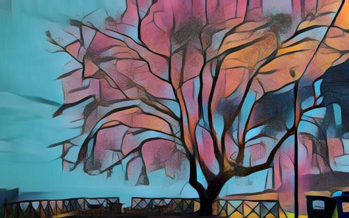 A Day in the Life of a Tree