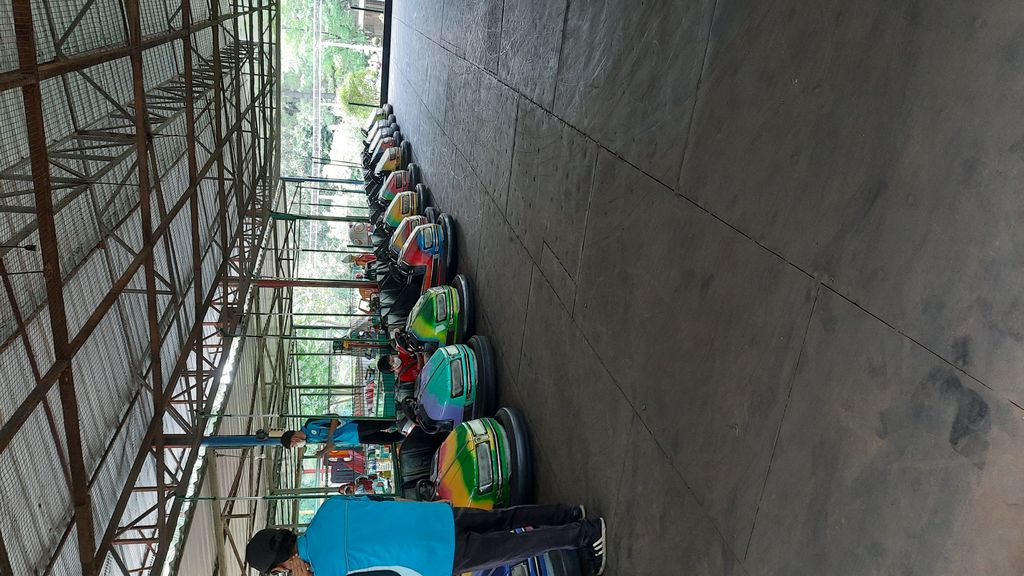 Bumper Cars