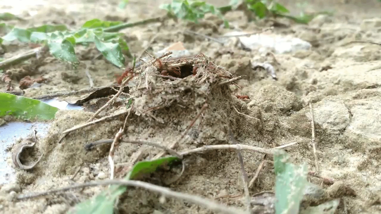 Normal day of work #1