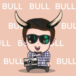 Momi Bull and Bear #13