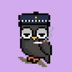 OWLpixel#013