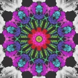 Spirit of Mandala #06