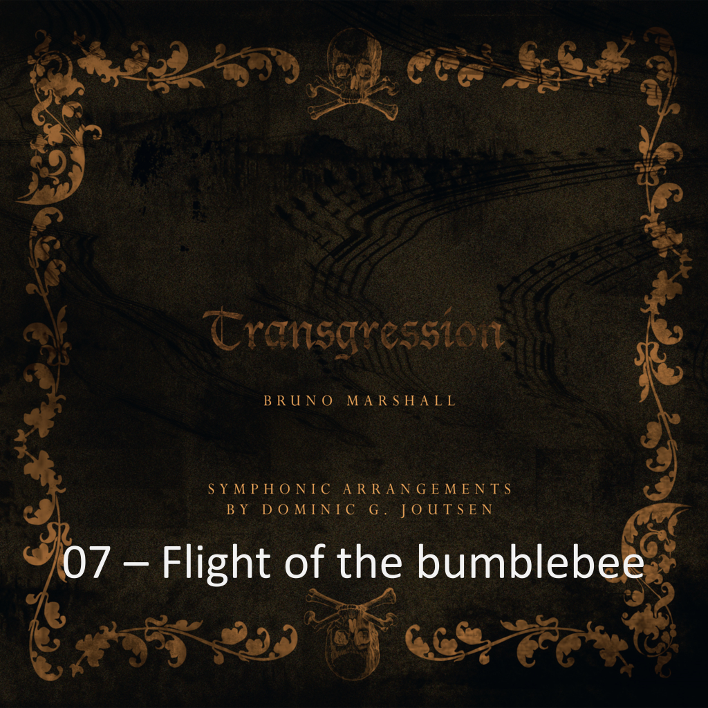 07 - Flight of the bumblebee | 1:49