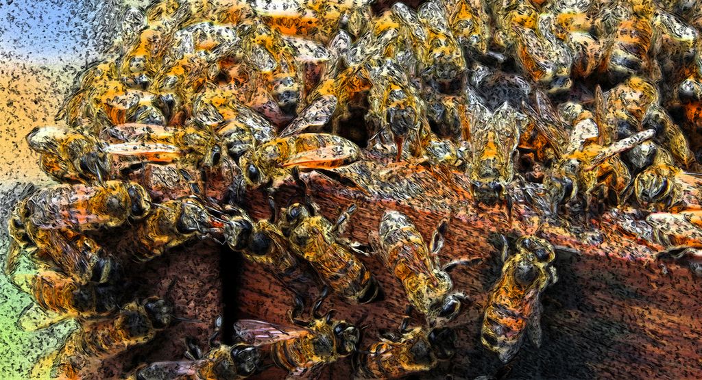 Workers Bees At Work