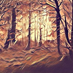 Freemium Landscape #85