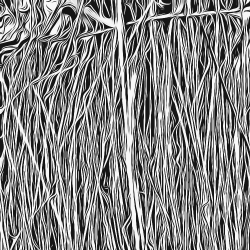 Mixed Mountain Angles #24