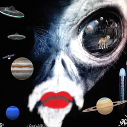 '- WHERE DO WE COME FROM? 2 -'2022