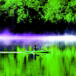 The beauty of colors #14