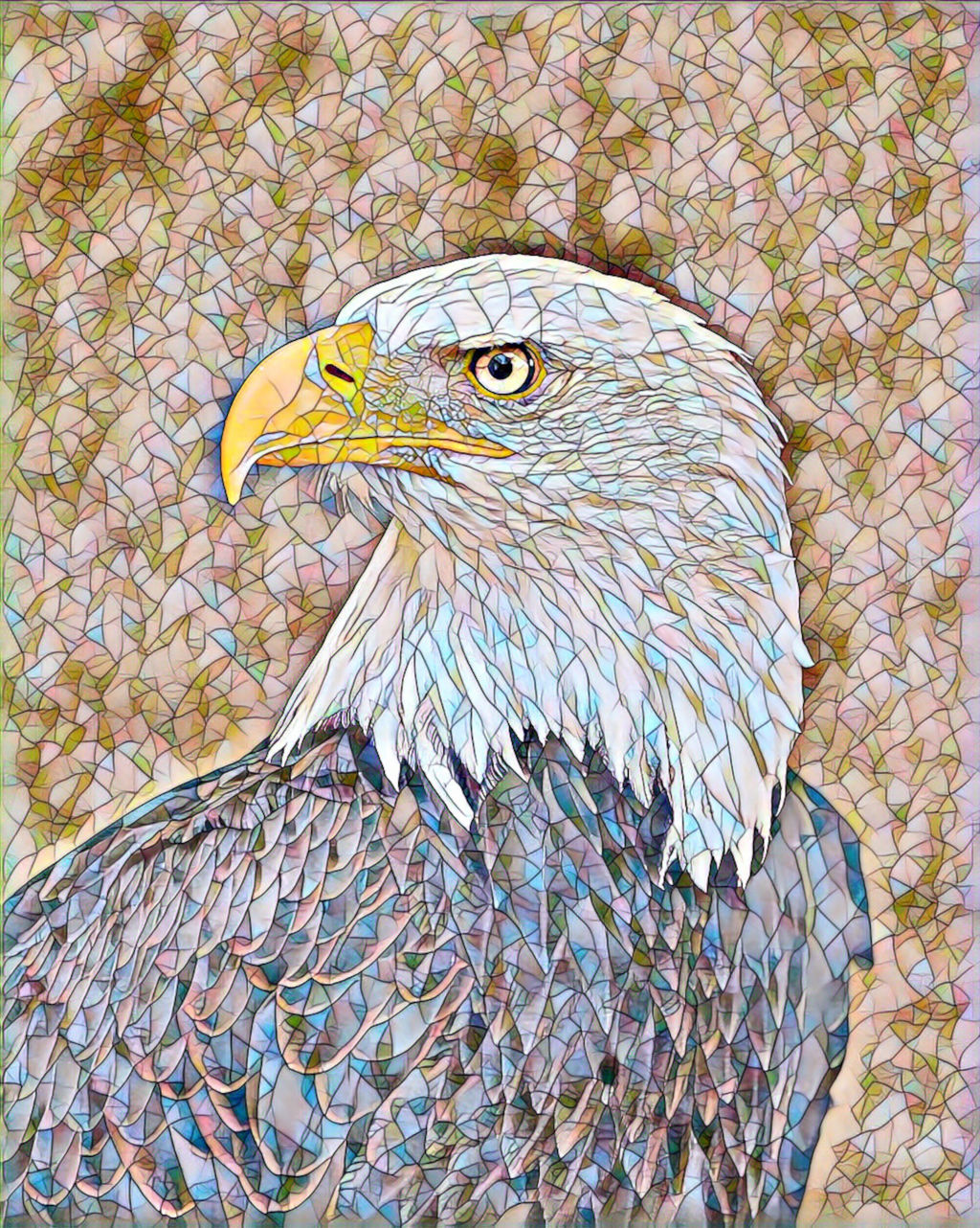 Mosaic eyes: Bald Eagle
