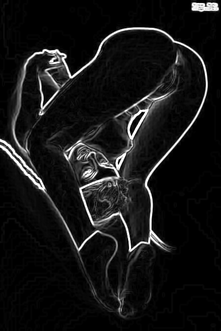 Art white line Daisy pose _#05#