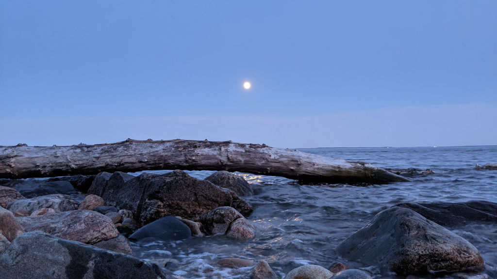 Driftwood Horizon - Moonlight
