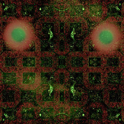 The basements of hell