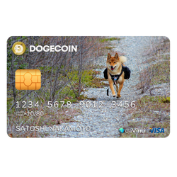 Elegant Dogecoin 2022 Credit Card