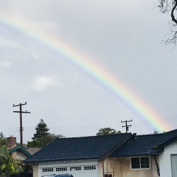 Backyard Rainbow