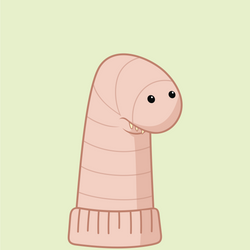 #45 Alaskan Bull Worm Sock