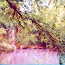 Waterfall #50/50 END