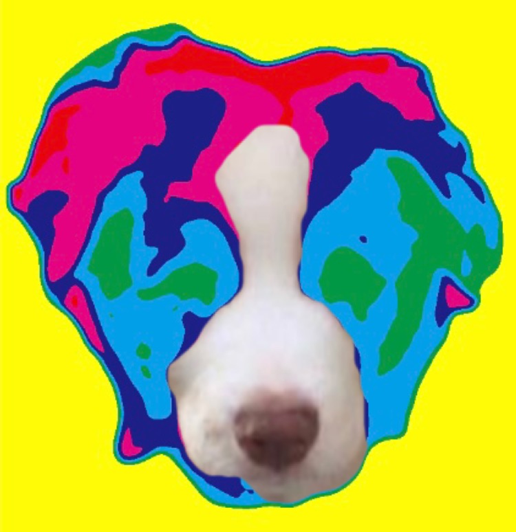 Pop Art Pup #005