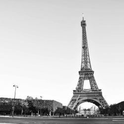 B&W: Eiffel Tower