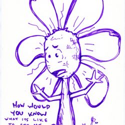 #130: "Freak Out" Flowerkid