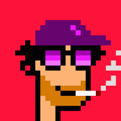 PUNK CRYPTO #3 VIOLET