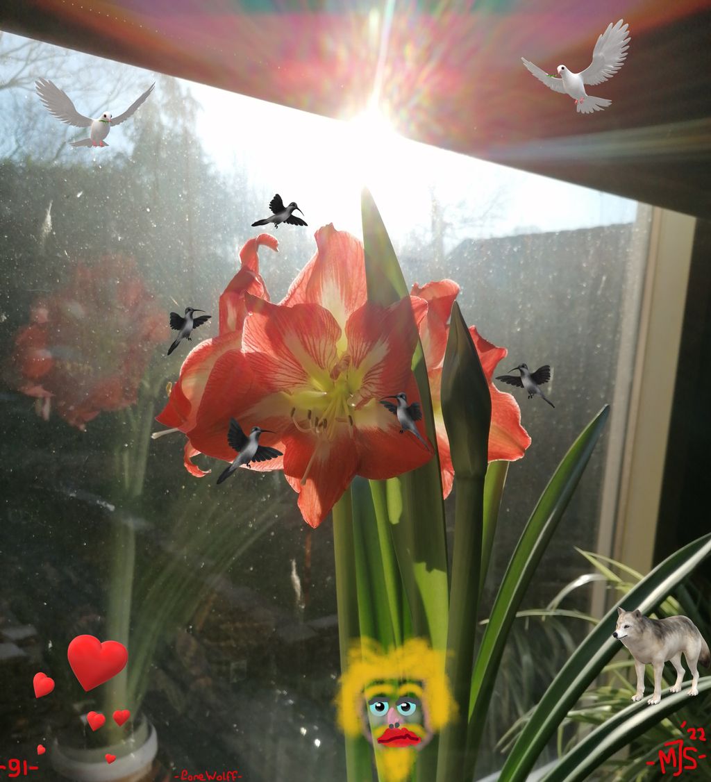 '- AMARYLLIS KIRYANIS ANITIS -'2022