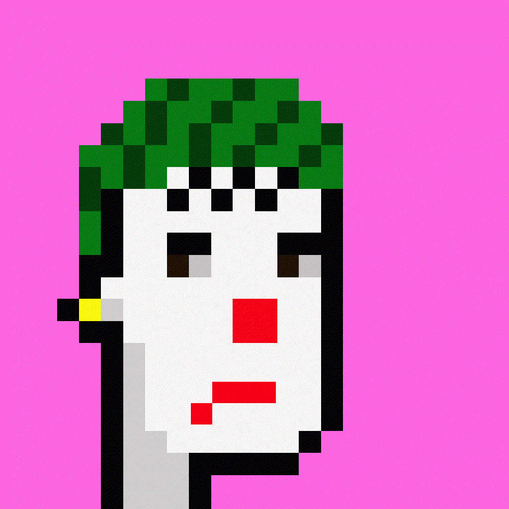 PUNK CRYPTO #22 ANIMATED