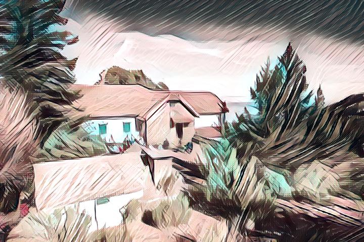 Who Says You Can't Go Home