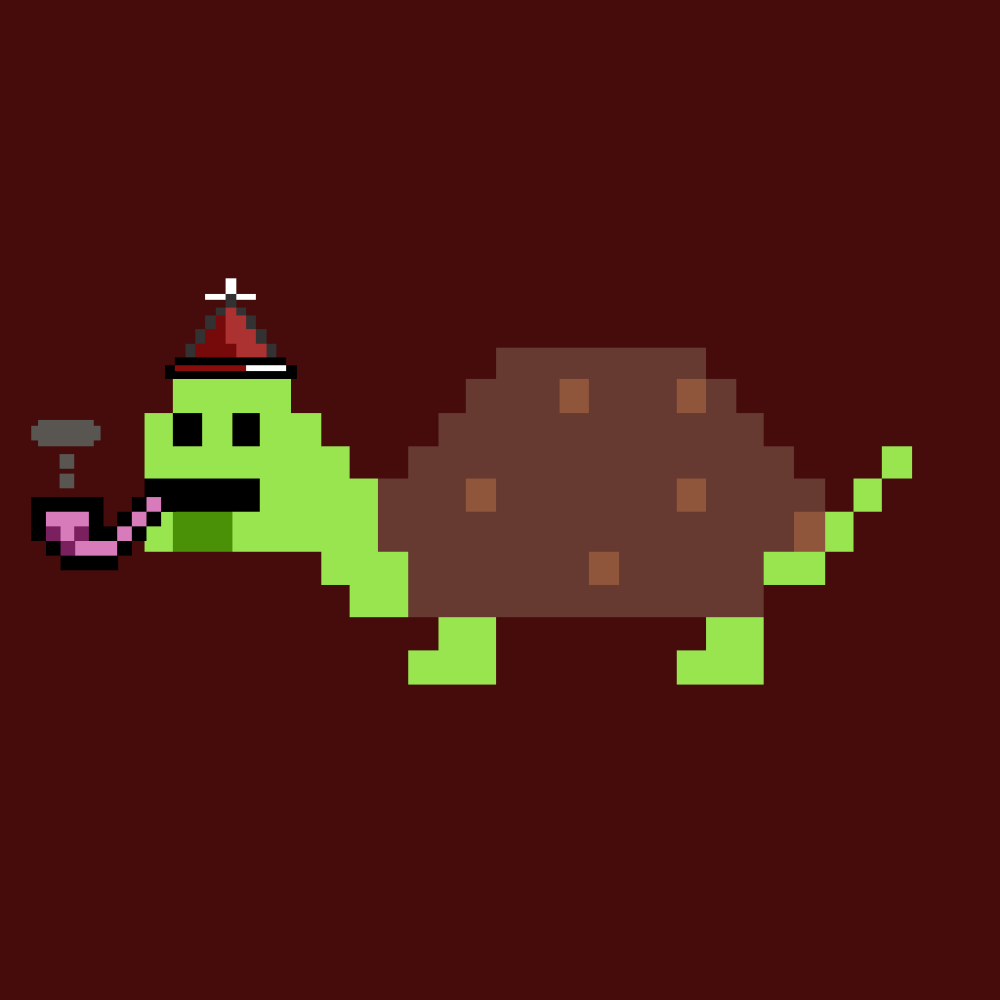 SlowTurtle #30