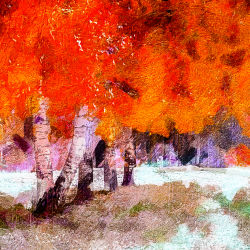 Impressions of trees I