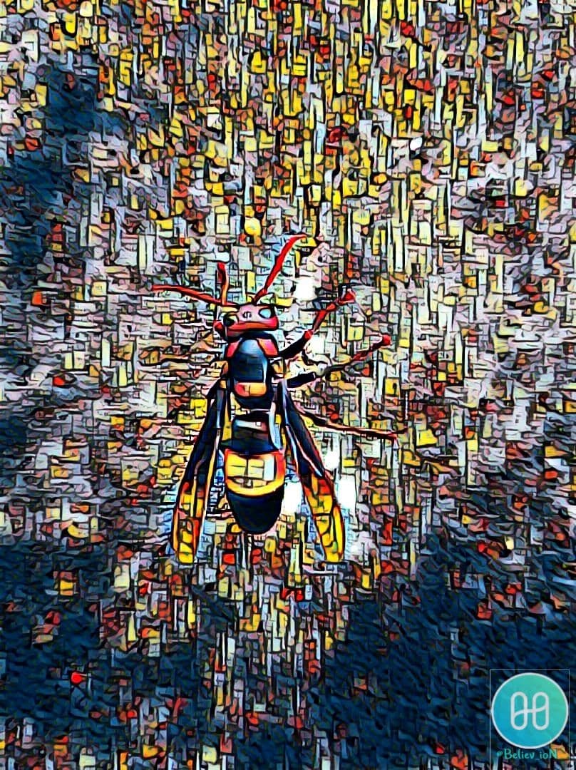  Murderer Hornet Limited Edition