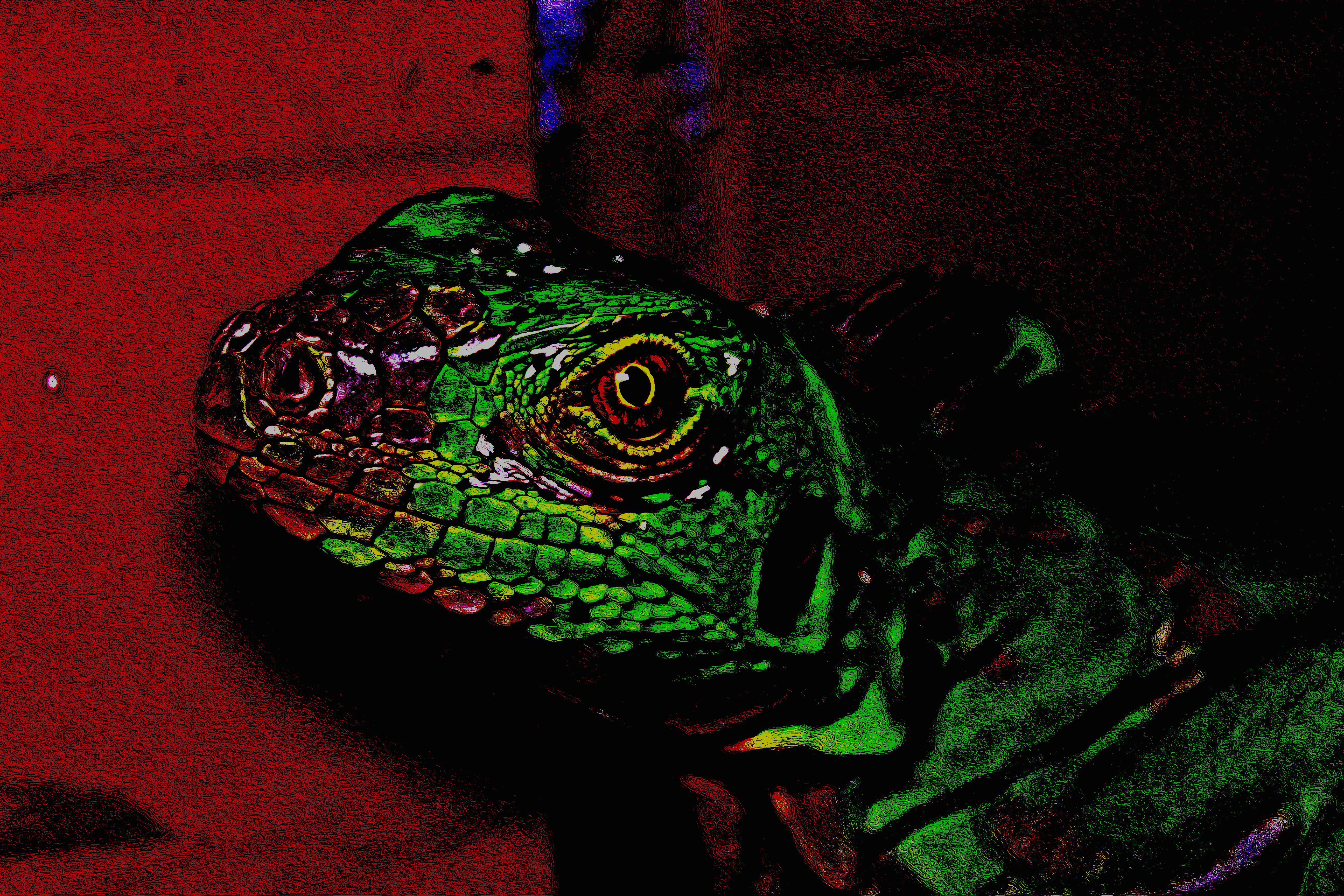 Iguana Art