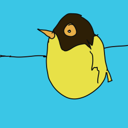 Bitcoin Bird