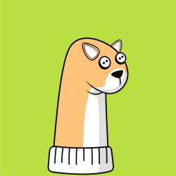 #8 Shiba Inu Sock