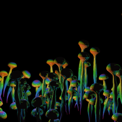4D Glowing Mushrooms