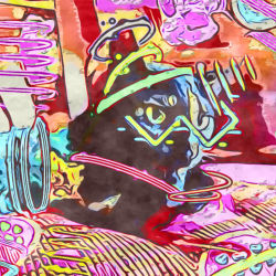 Crypto Cat 6/11 Limited