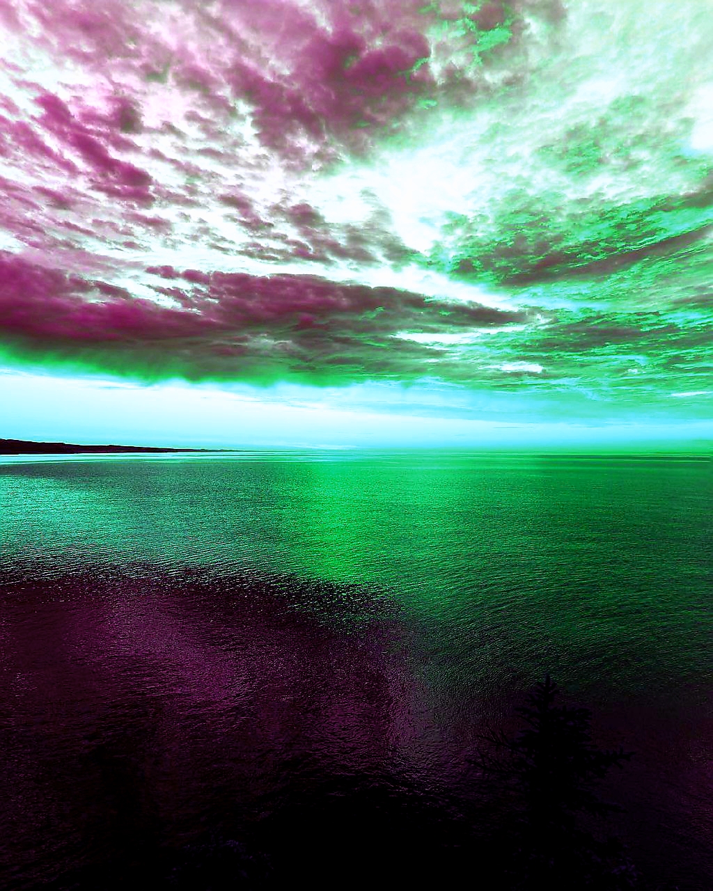 The beauty of colors #19