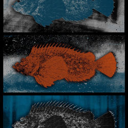 Triptych Fish 2
