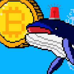 Whale Crypto #2 Alert